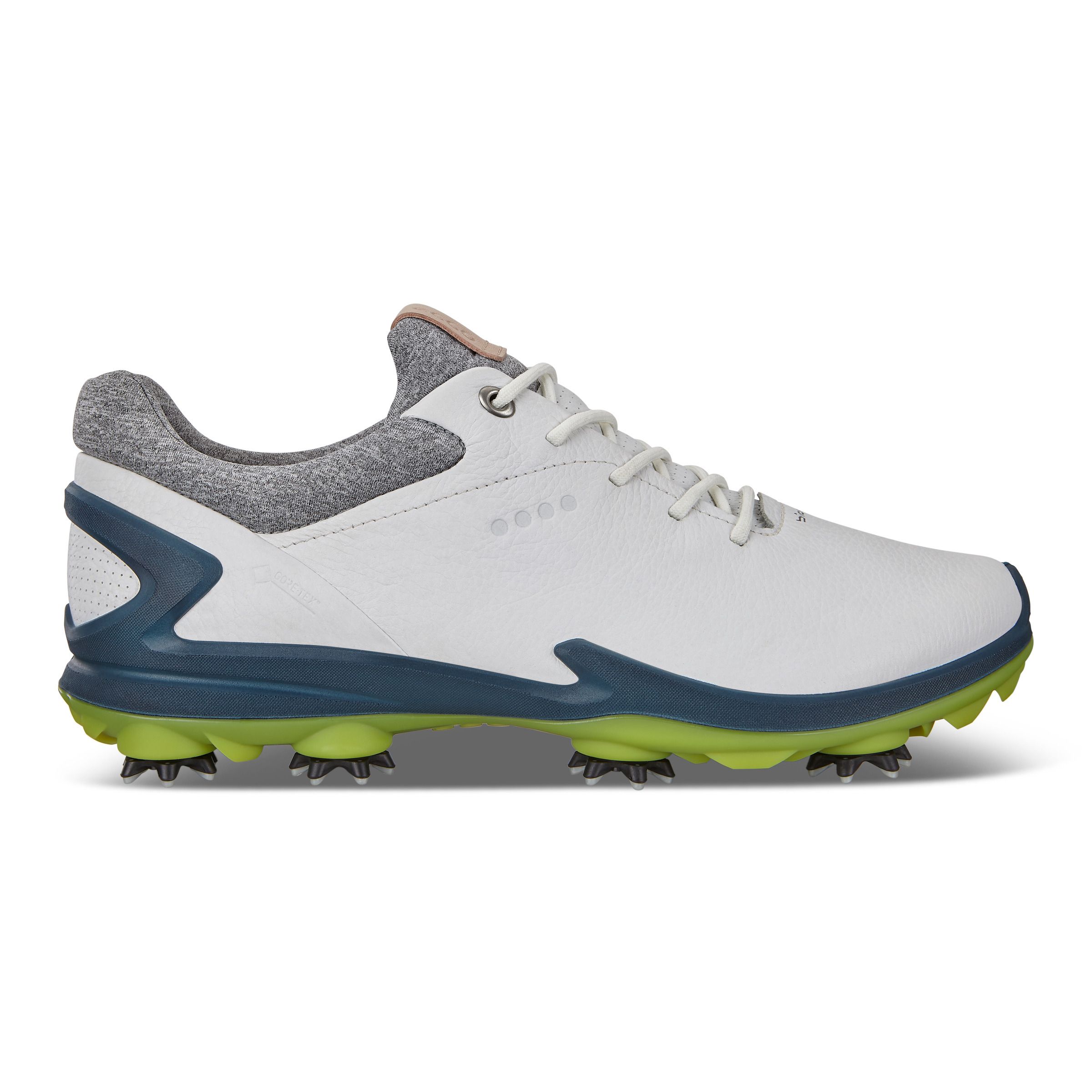 ecco men's golf biom g 2