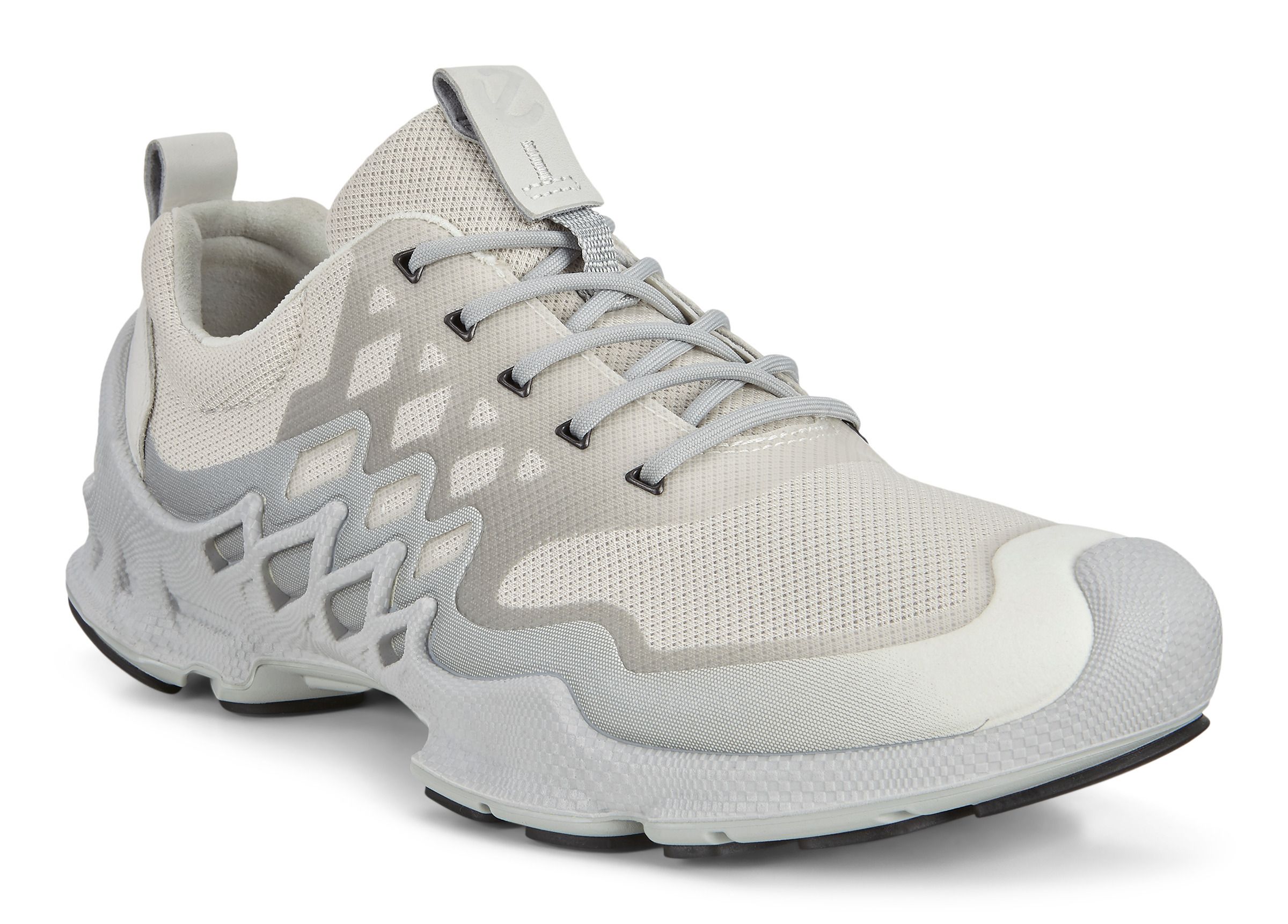 ecco raptor shoes