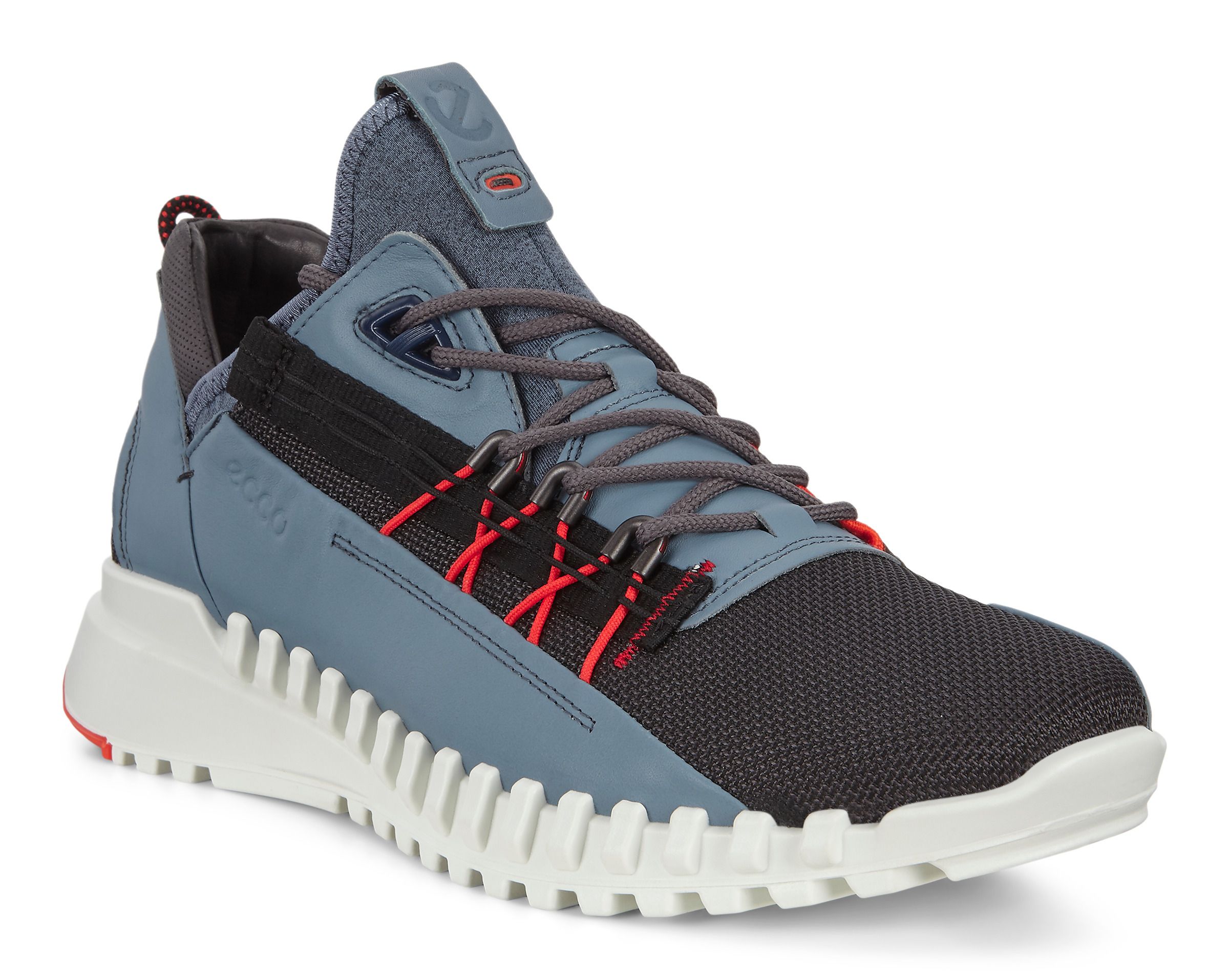 ecco blue