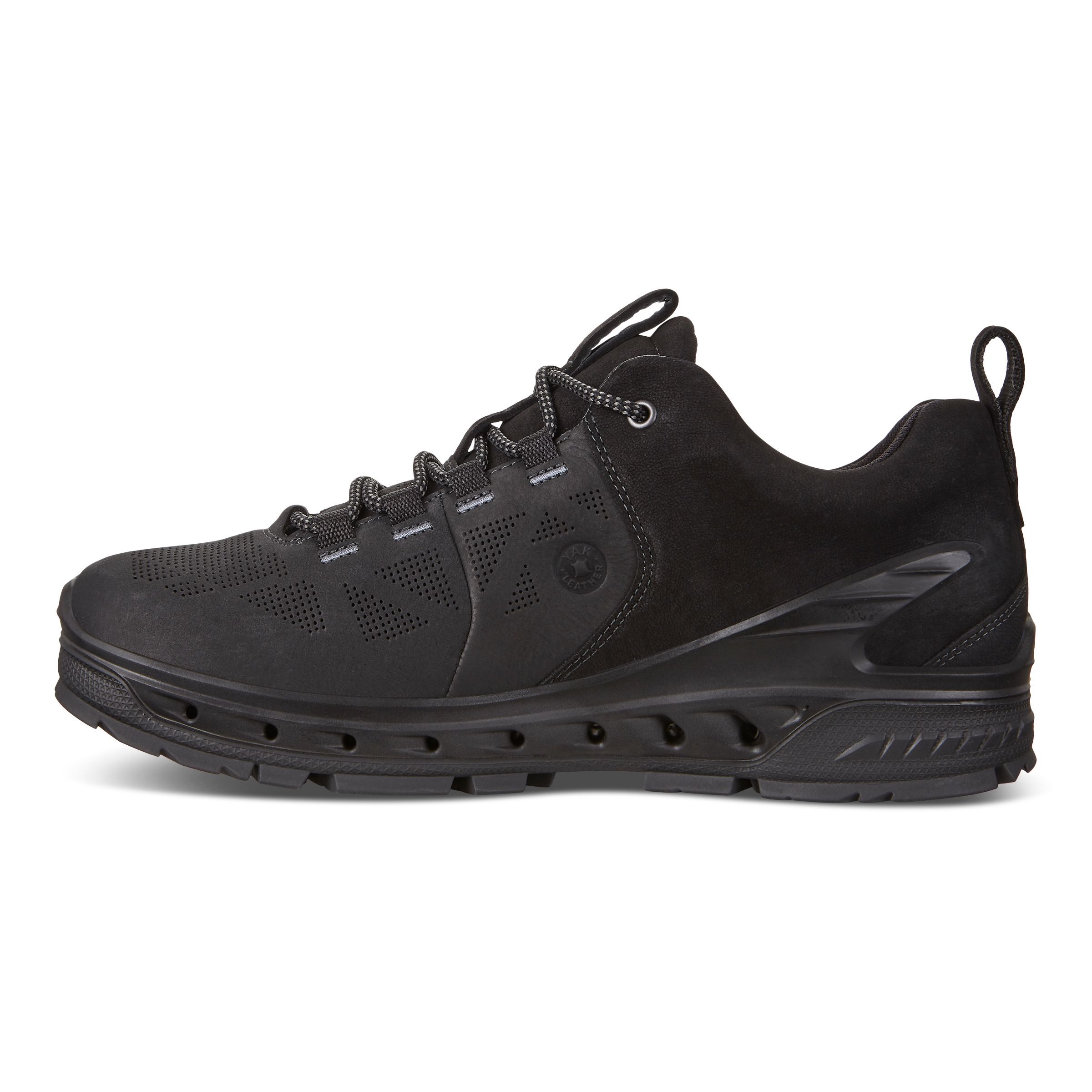 ecco biom venture tr black