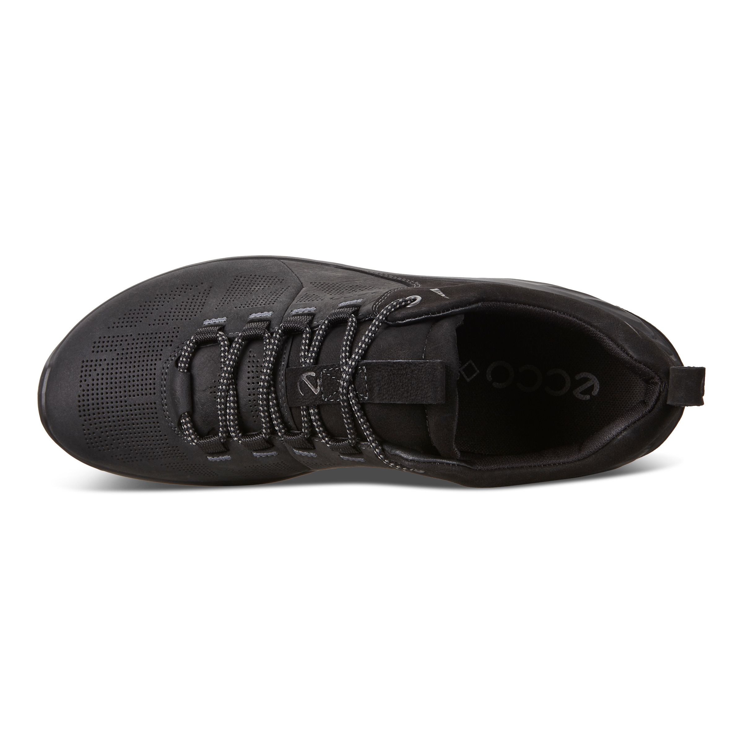 ecco biom venture tr black