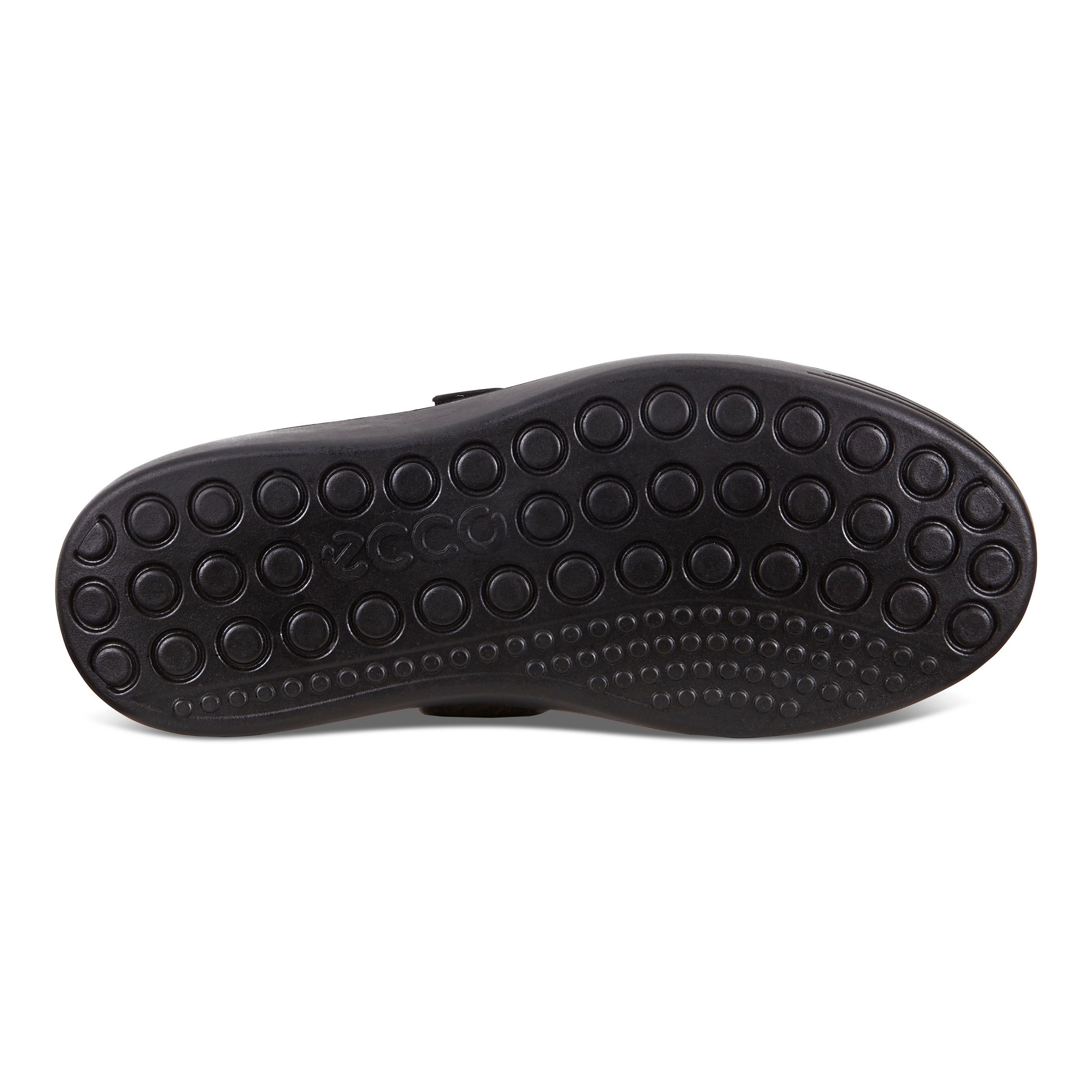 ecco s7