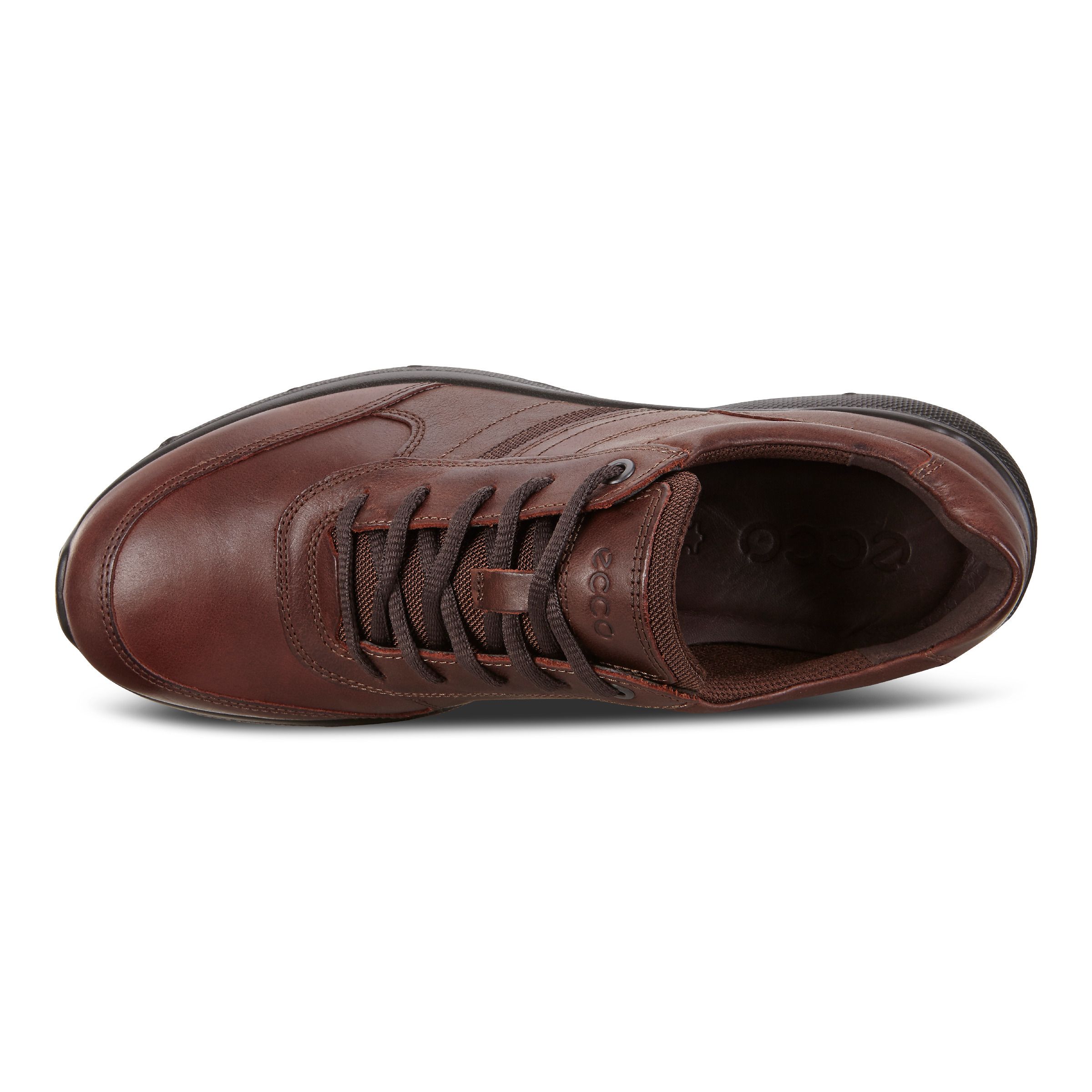ecco 511564