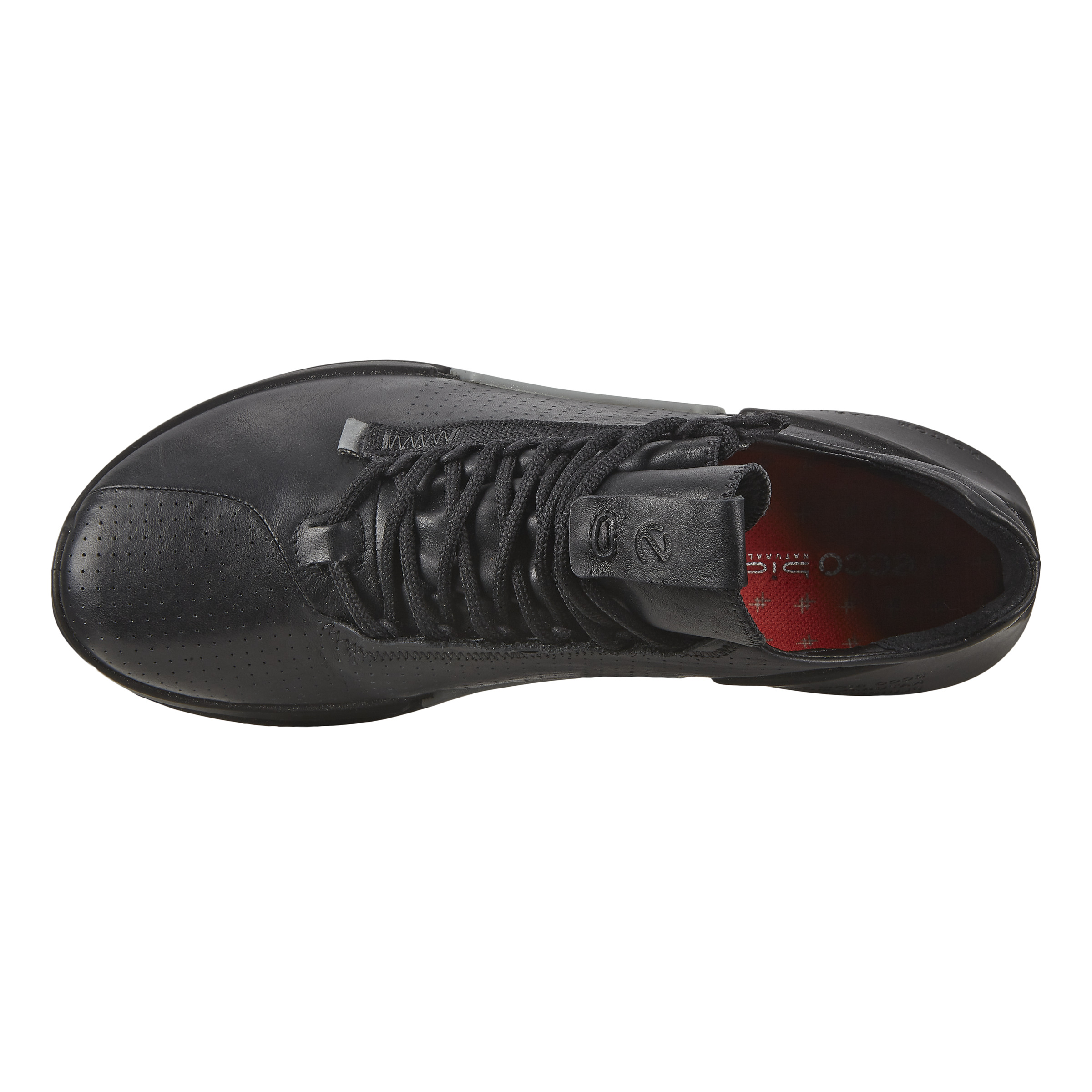 ecco biom 2.0 m black