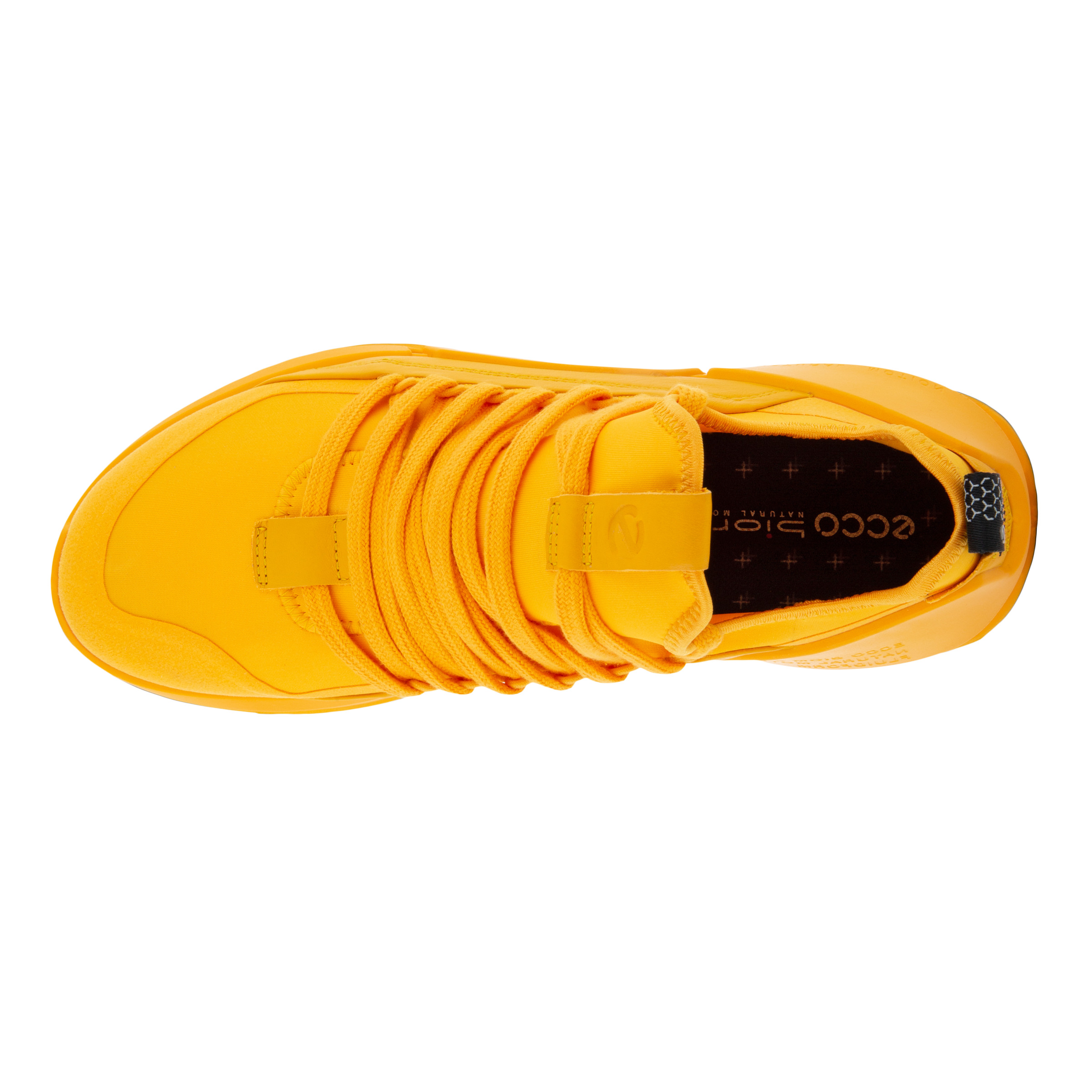 ecco biom orange