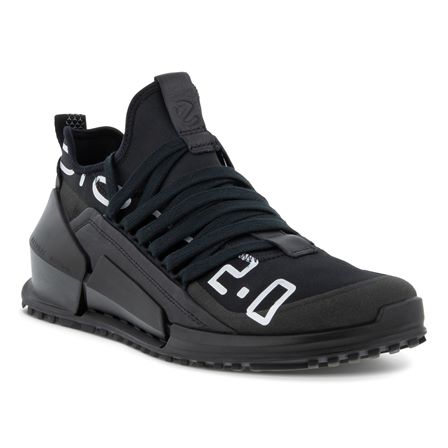 ecco biom hybrid 2