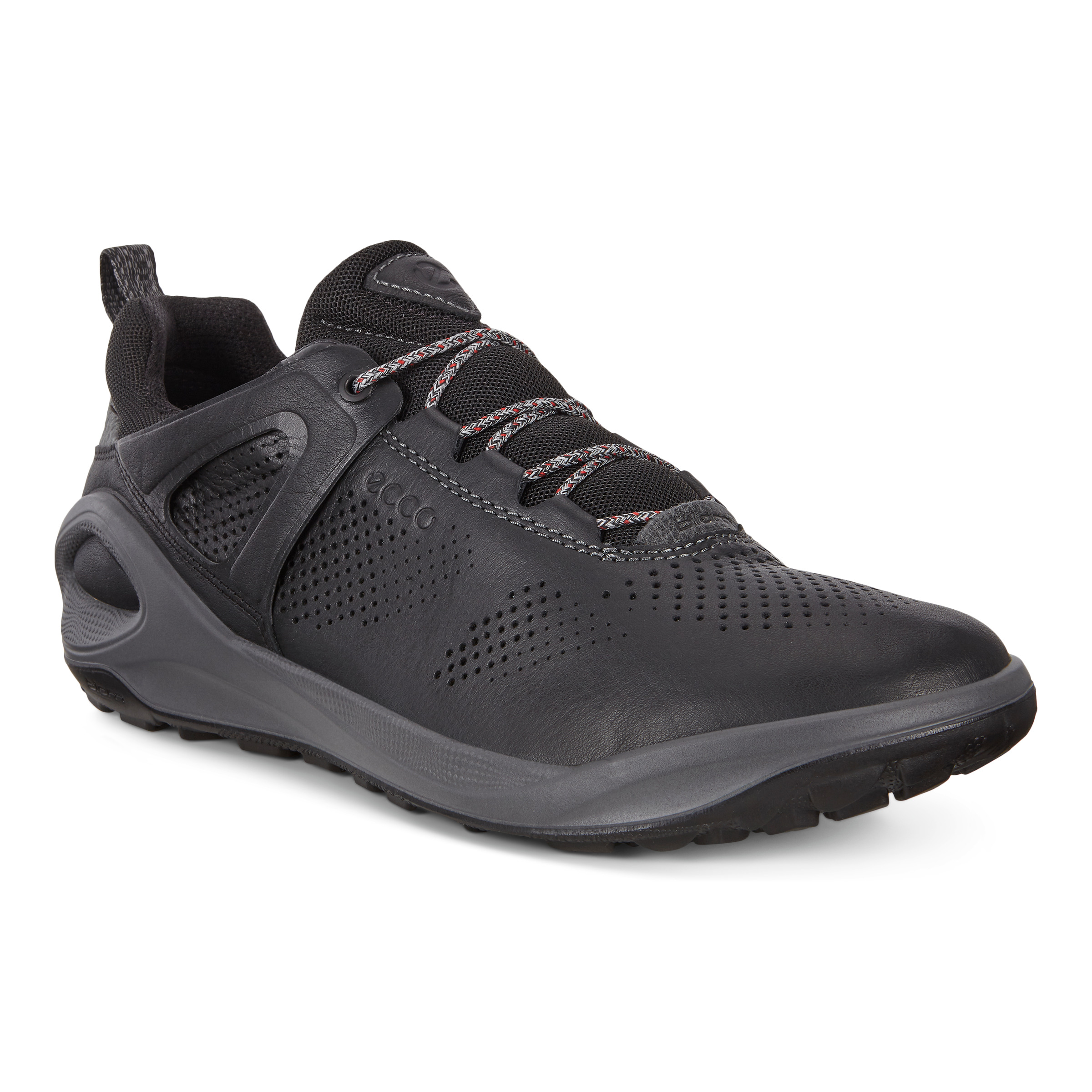 ecco men's biom 2go sneaker
