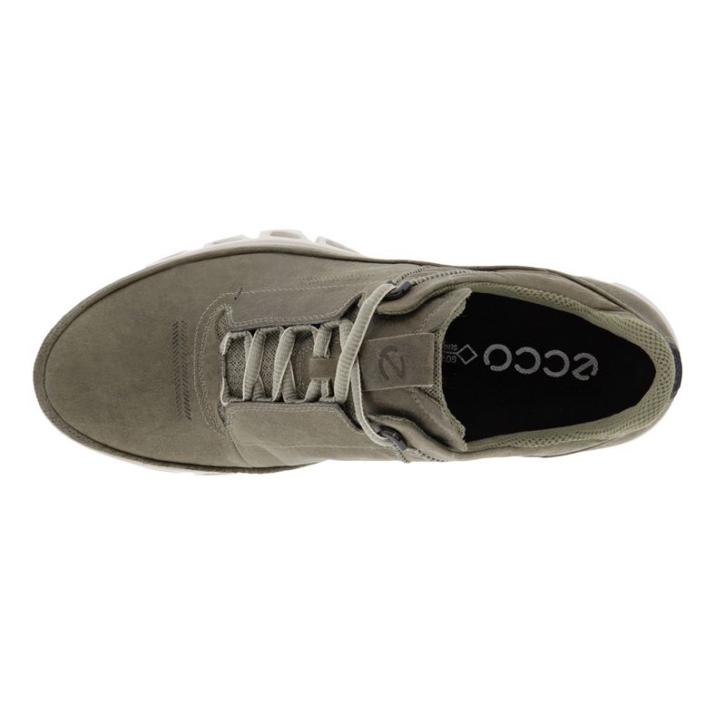 Кроссовки ecco offroad m. Ecco Multi Vent кроссовки мужские. Ecco Multi-Vent m 880123/01529. Ecco Multi-Vent m 880124/01244. Ecco Multi-Vent Gore-Tex 880124/01001.
