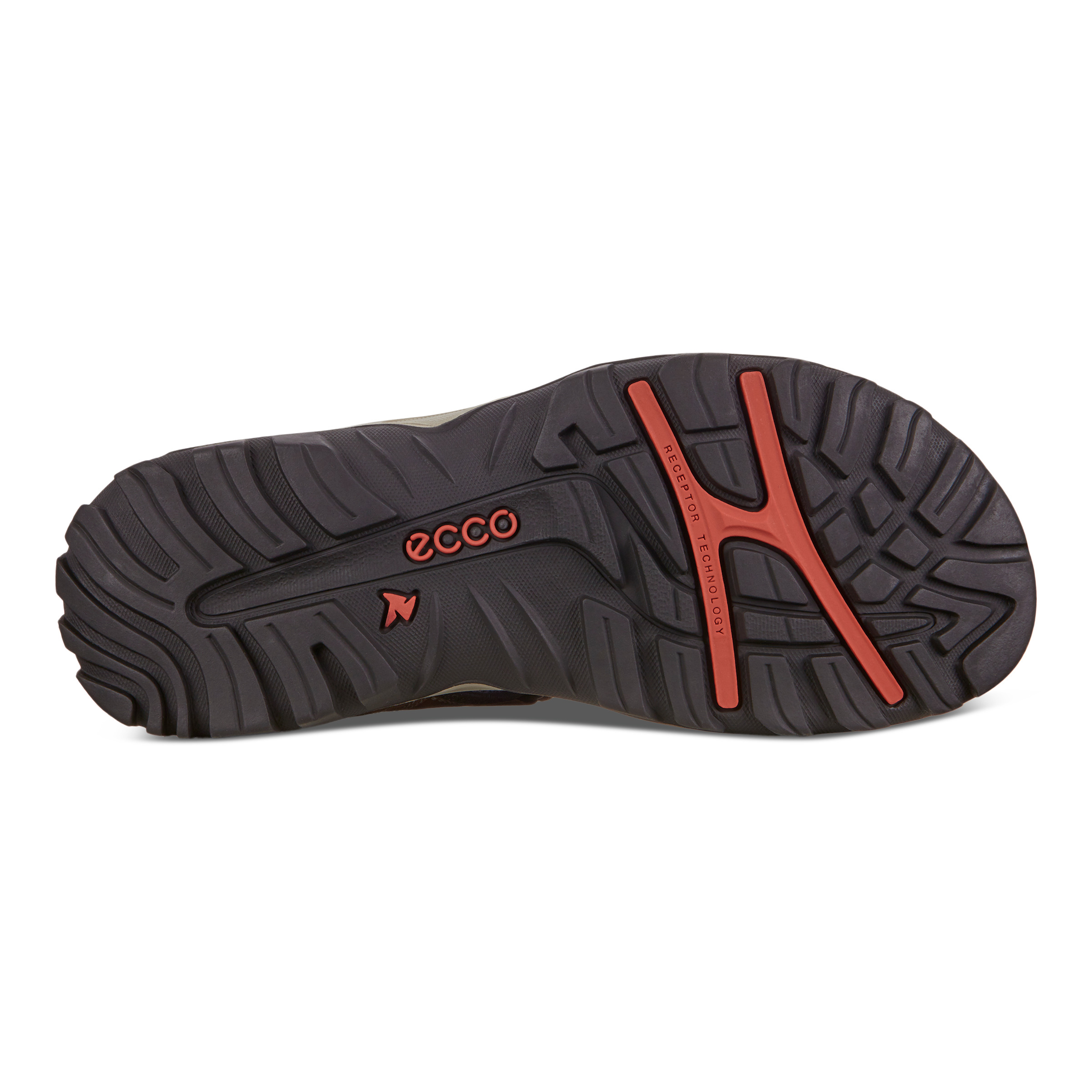 ecco performance offroad lite ii