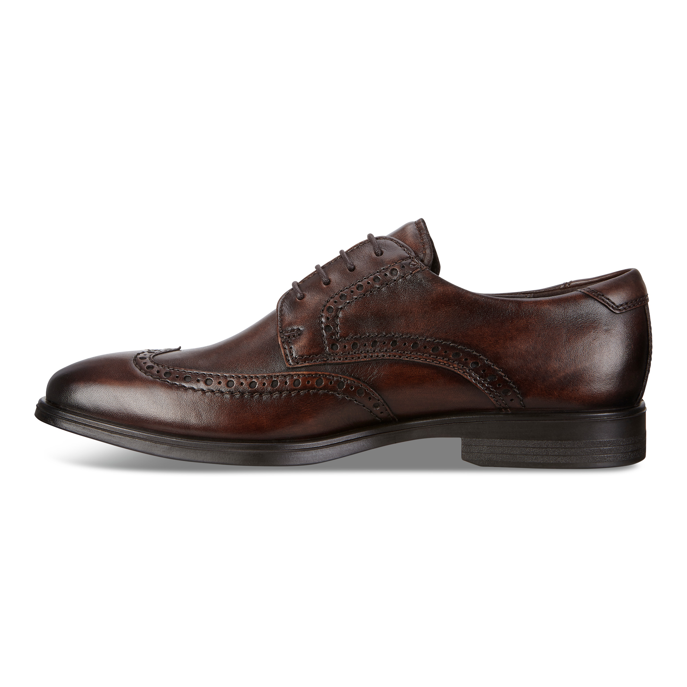 ecco melbourne wingtip