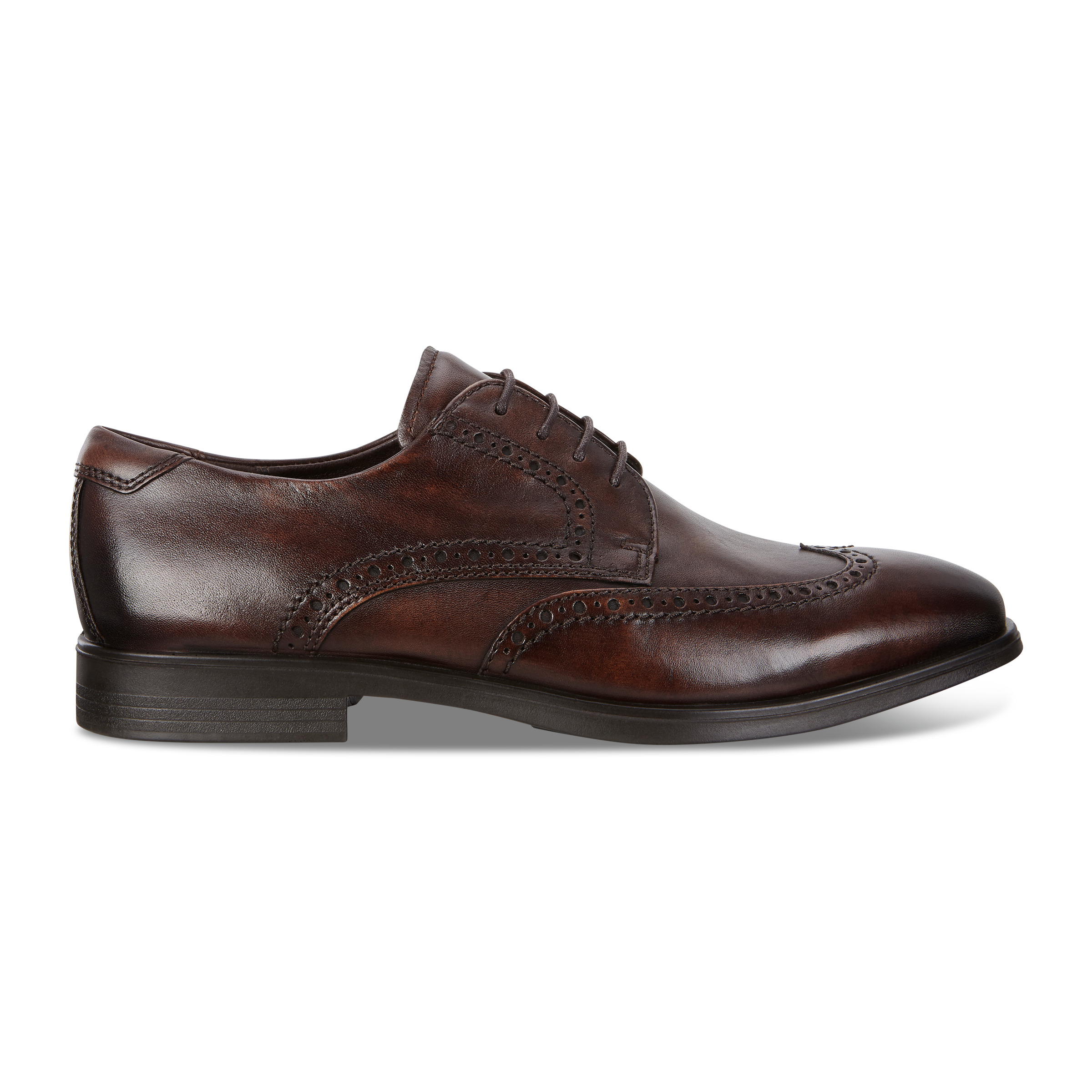 ecco melbourne wingtip