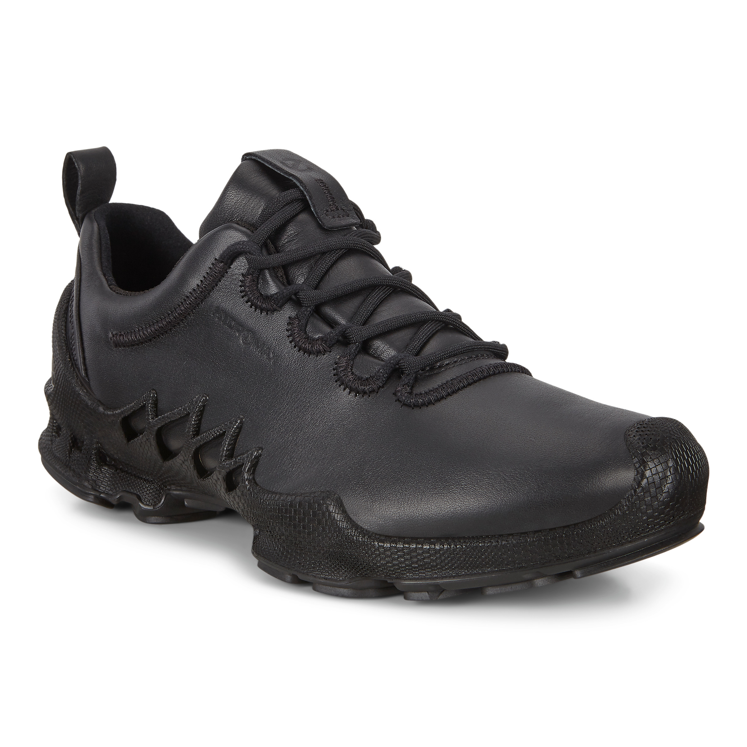 ecco biom aex w