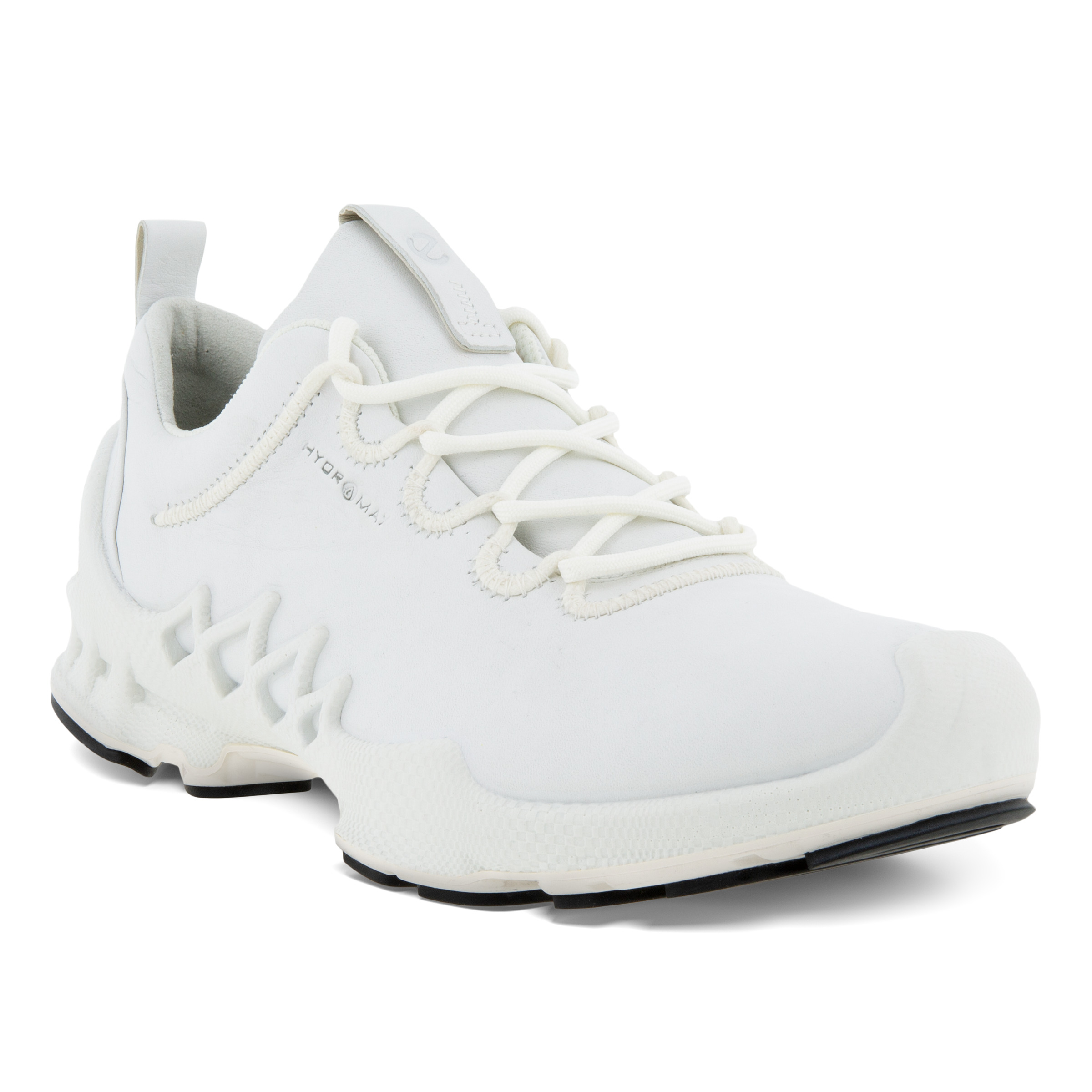 ecco biom aex w