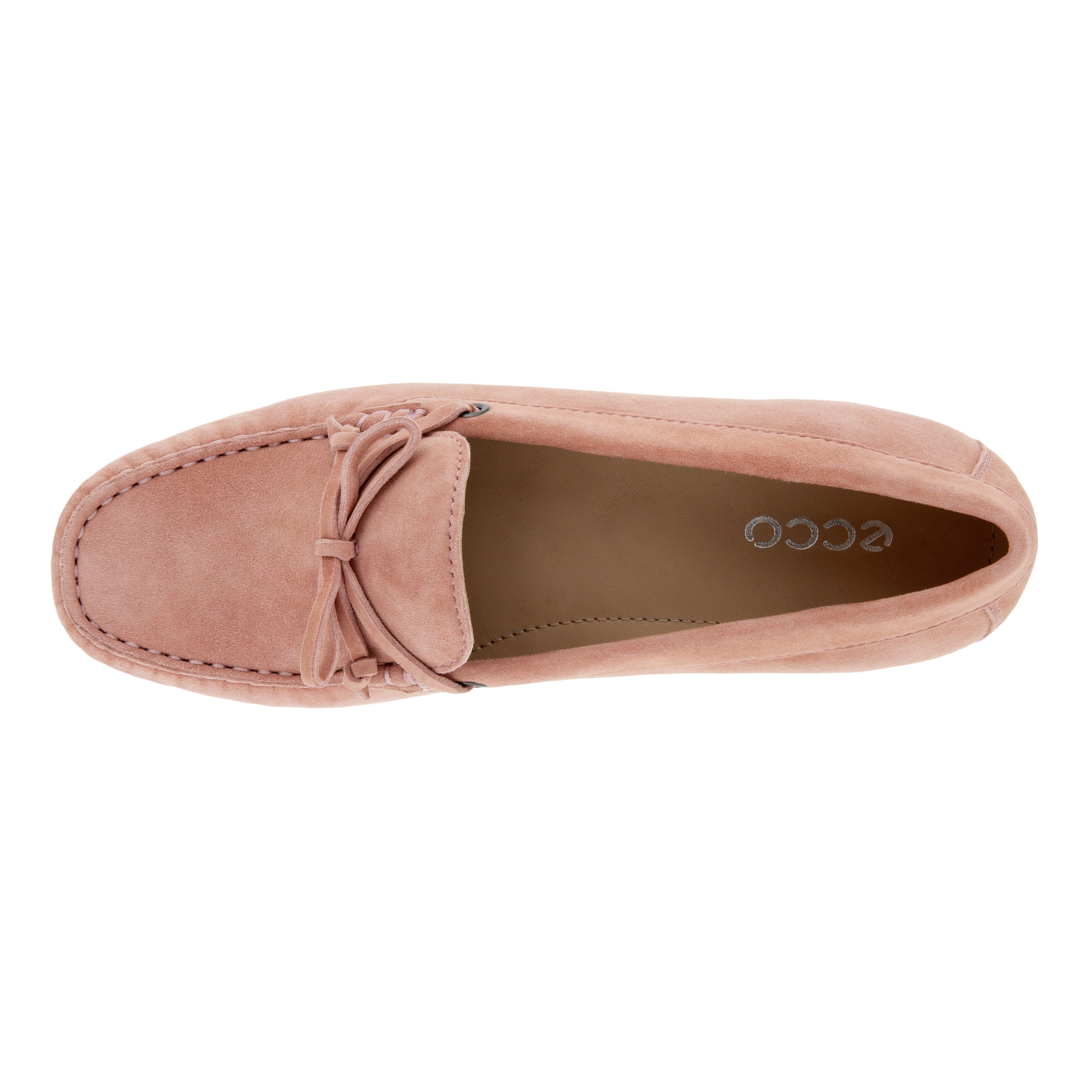 ecco devine moc