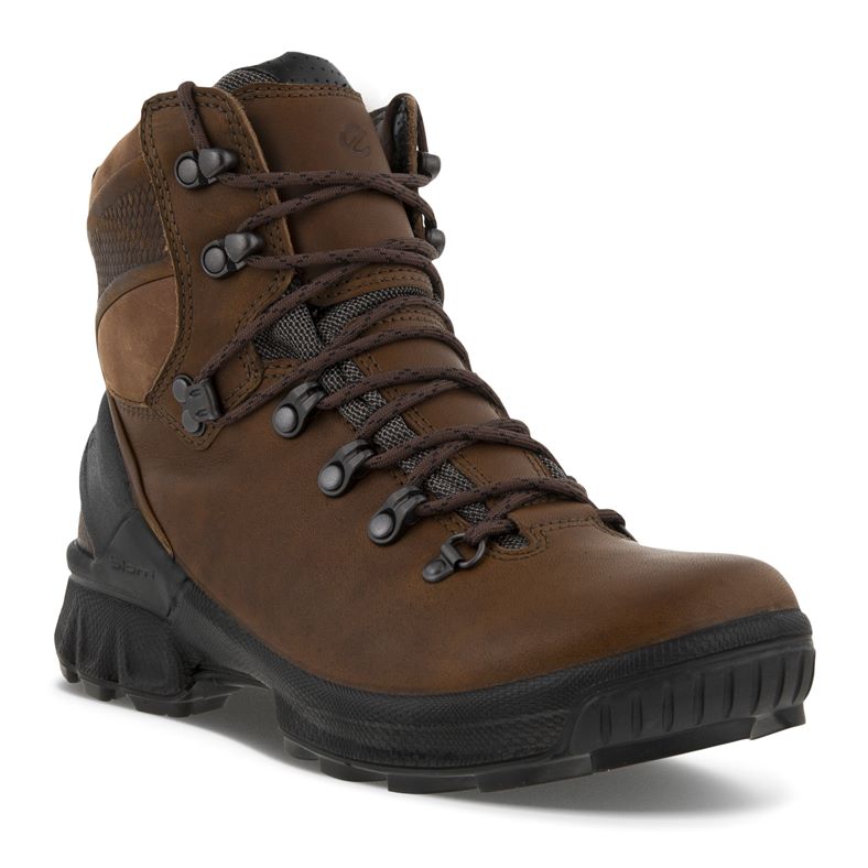  Biom Hike W (Brown)
