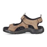  Offroad (Brown)