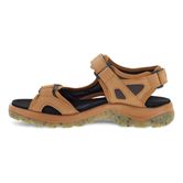  Offroad (Brown)