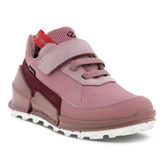  Biom K2
