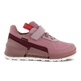  Biom K2