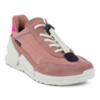  Biom K1