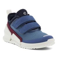  Biom K1