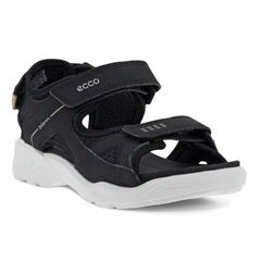  Biom Raft