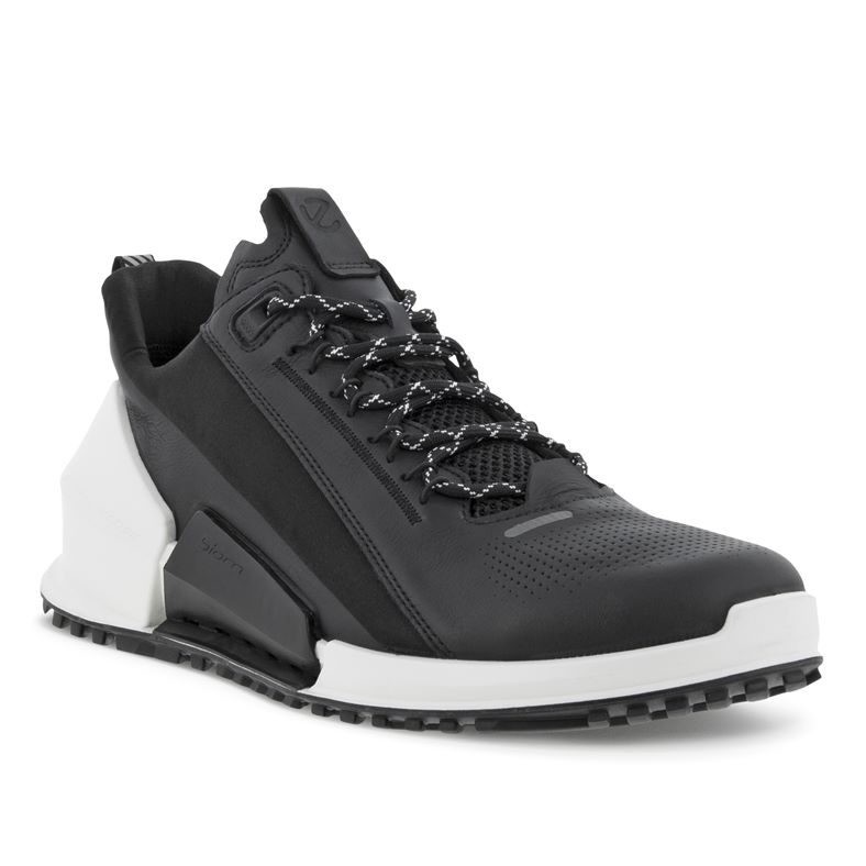  Biom 2.0 M (Black)