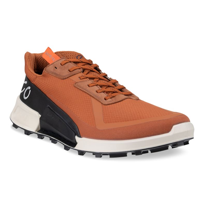 Biom 2.1 X Country M (Brown)