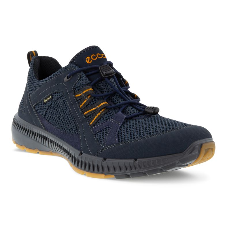  Terracruise II M (Blue)