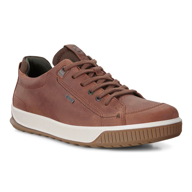  Byway Tred (Brown)