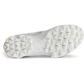 ECCO BIOM C-Trail W (White)