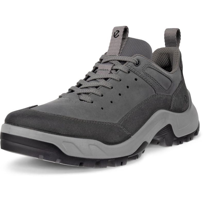 ECCO Offroad M (Grey)