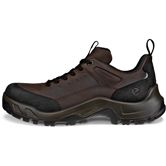 ECCO Offroad M (Brown)