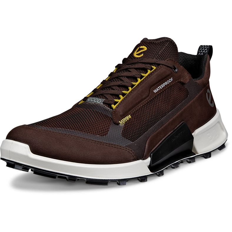 ECCO BIOM 2.1 X Mountain M (Brown)