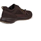 ECCO Terracruise II M (Brown)