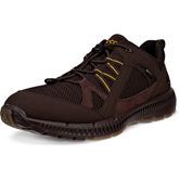 ECCO Terracruise II M (Brown)