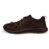 ECCO Terracruise II M (Brown)